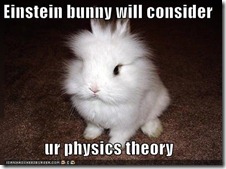 Einstein Bunny 2