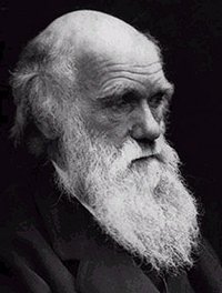 darwin1