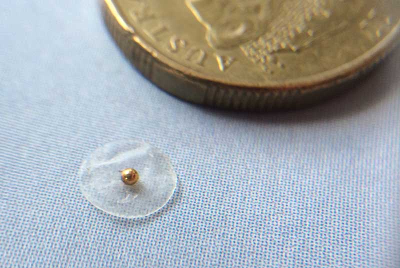 Auricular Acupuncture pellet. Size compared to a one dollar coin.