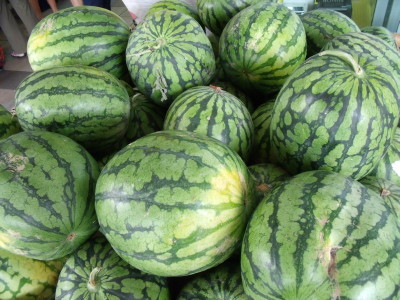 Singapore_watermelons