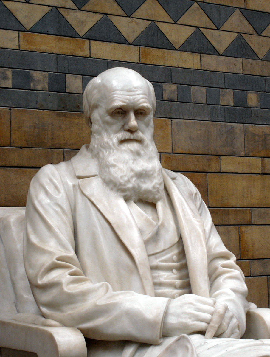 906px-Charles_Darwin_statue_5661r